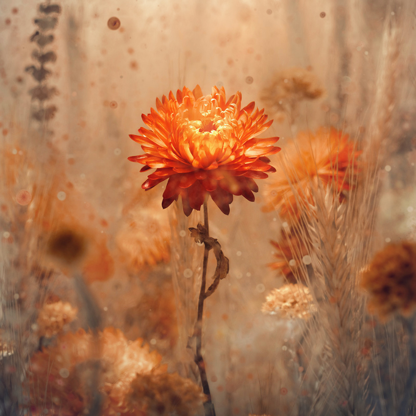 Marc Heroux
