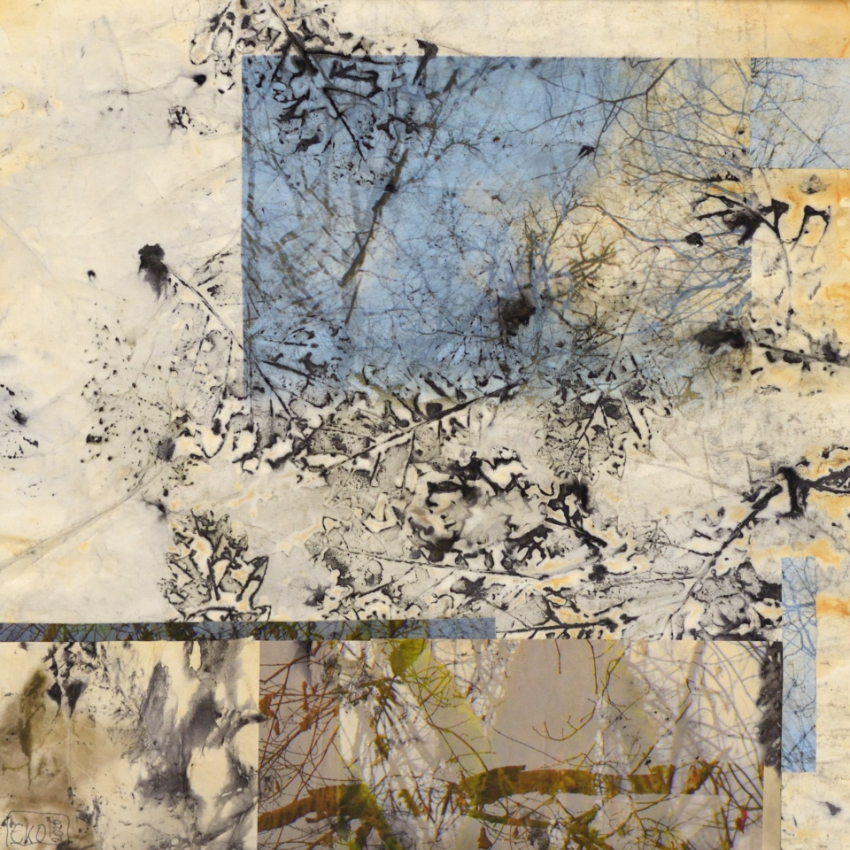 Corine Oosterlee